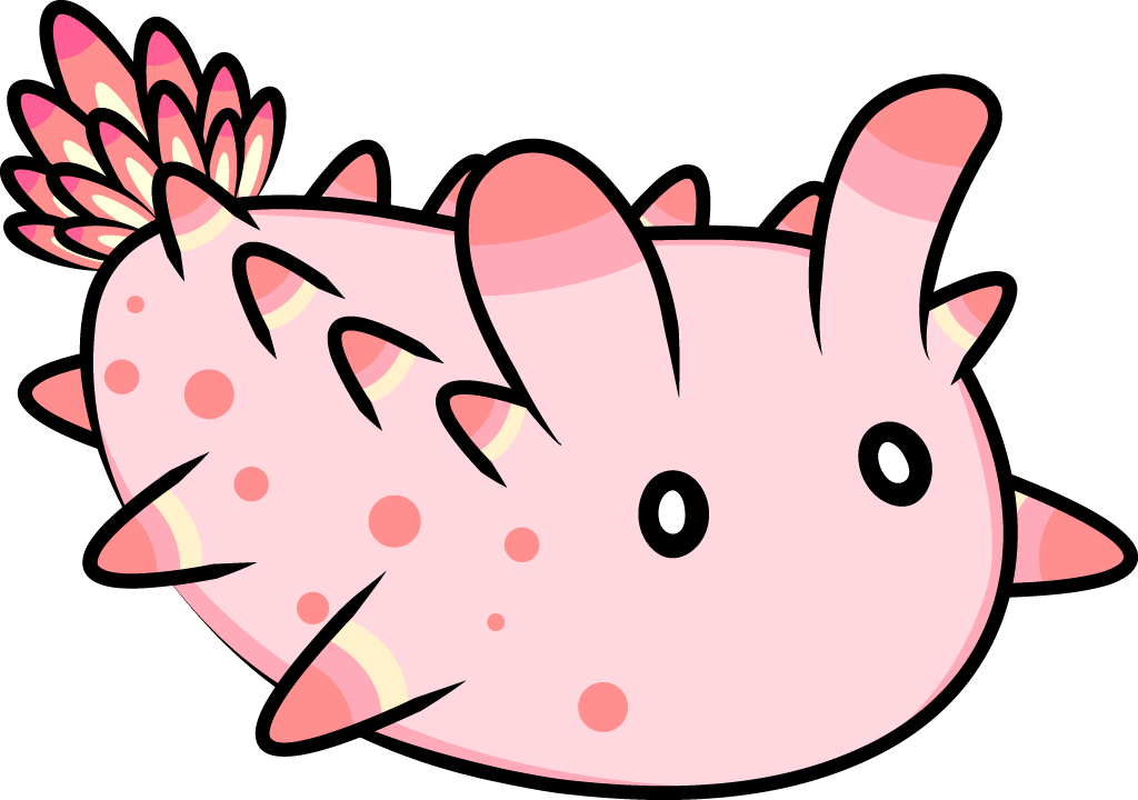 My Nudi